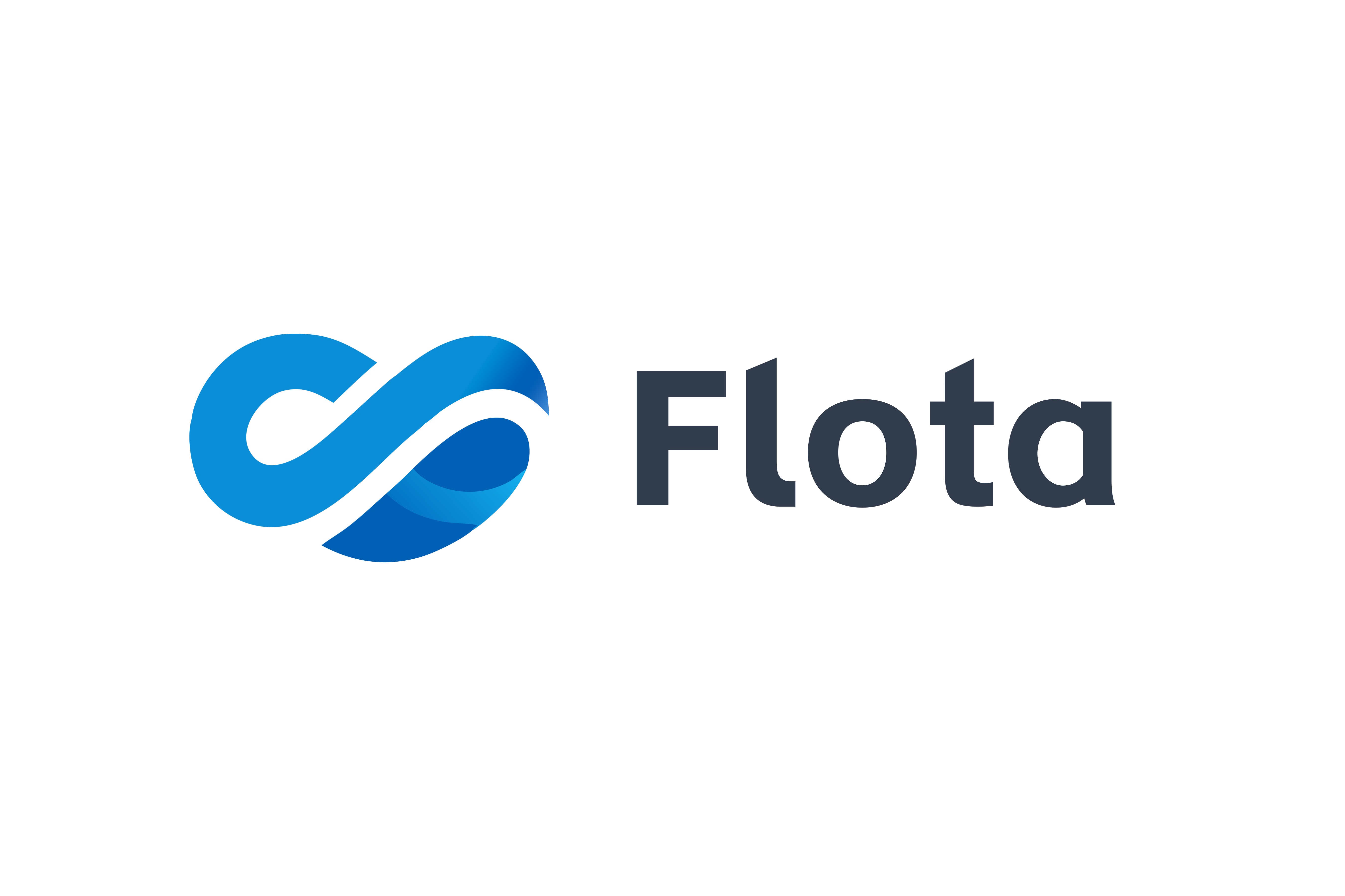 Flota Logo